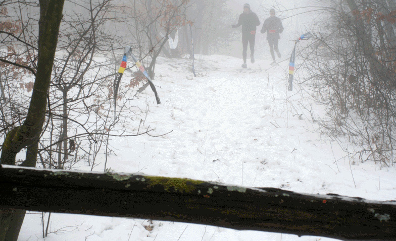 szentendrei crossfutás 2011