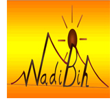 wadi bih run logo
