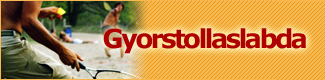 gyorstollaslabda