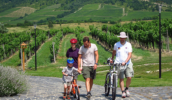 erdbénye drótszamár fesztivál