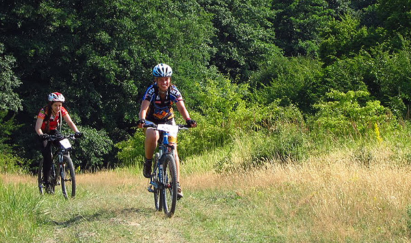 erdbénye drótszamár fesztivál